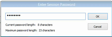 Bare Metal Recovery - Encryption Password dialog.